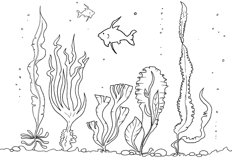 Dibujo de un ecosistema acuatico para colorear - Imagui