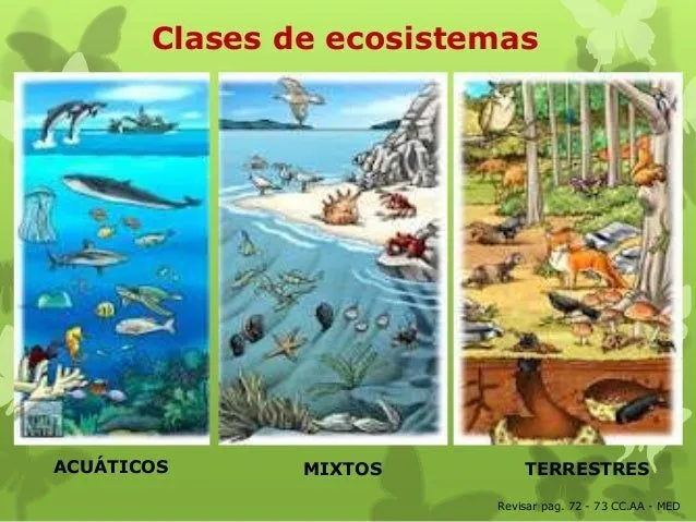 Ecosistemas 5º 2014 parte 1