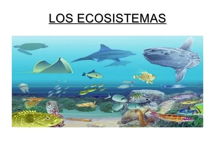 Trabajo de los ecosistemas (biología 4ºeso a)