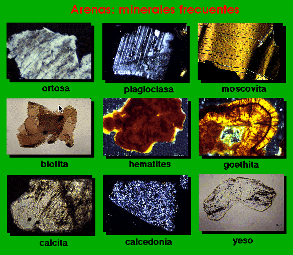 EDAFOLOGIA. Lección 2. Especies mineralógicas en el suelo.