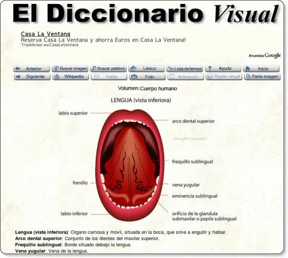 Educación tecnológica: El diccionario visual: recurso para la PDI