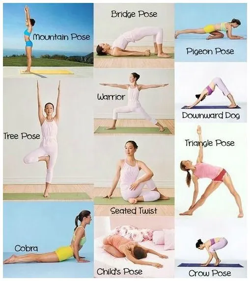 Flexibilidad ejercicios - Imagui