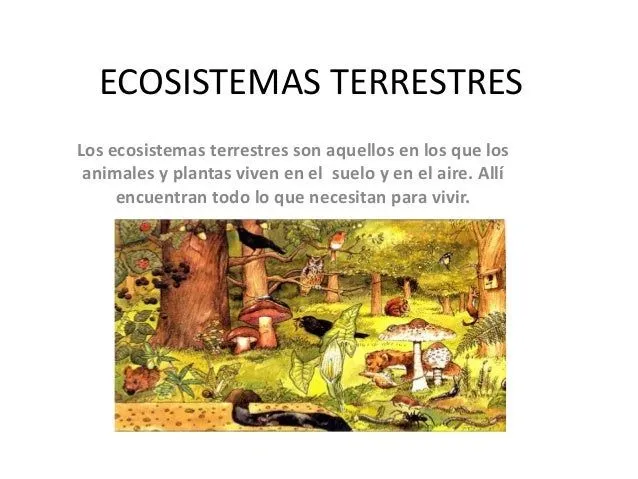 el-ecosistema-4-638.jpg?cb= ...
