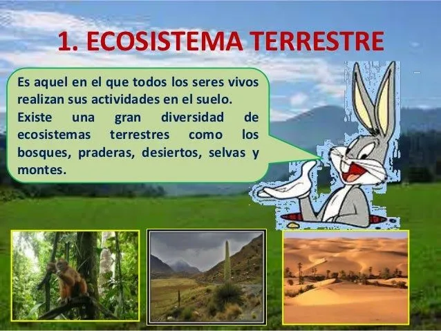 el-ecosistema-7-638.jpg?cb= ...