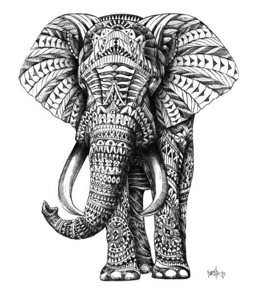 Elefante cartepeluo | color | Pinterest