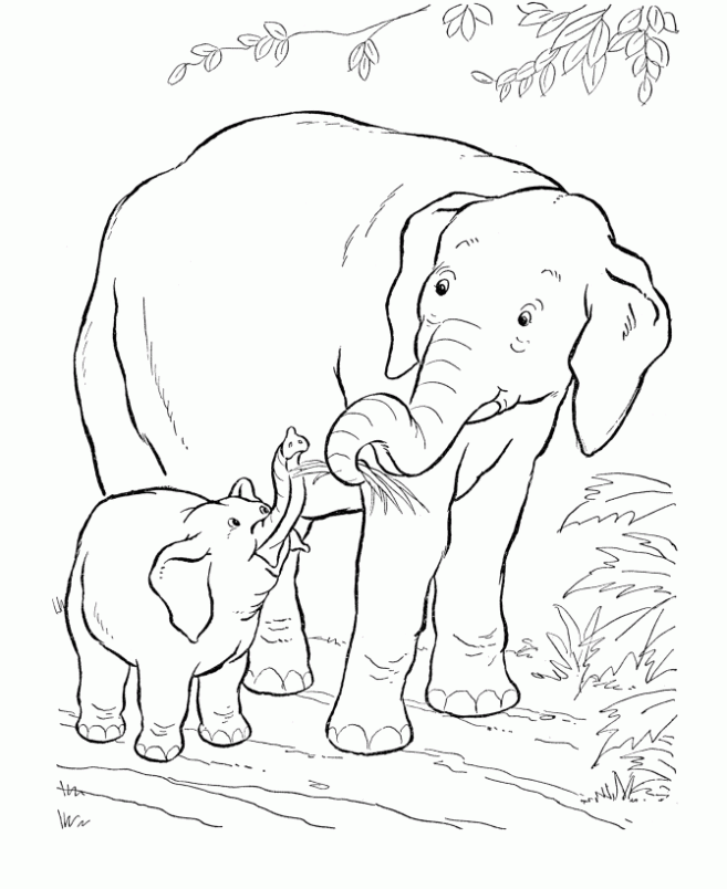 Dibujo de Elefante con su pequeño para colorear. Dibujos ...
