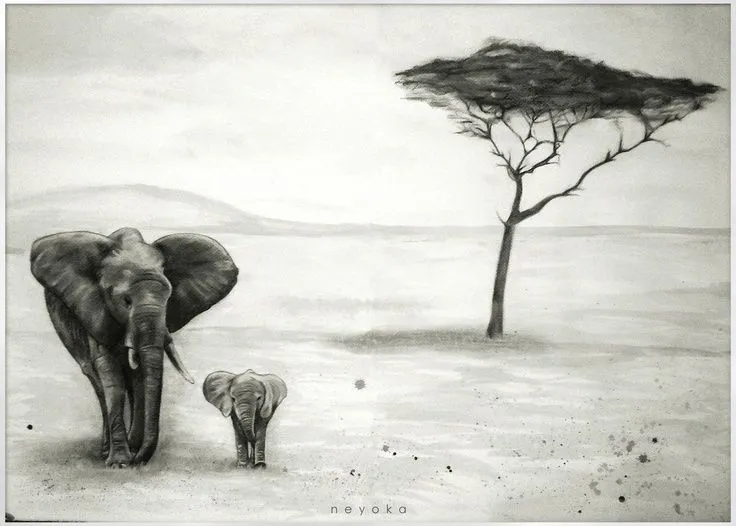 Elefantes} Dibujo al carboncillo y acuarela. 140 x 100cm | Draws ...