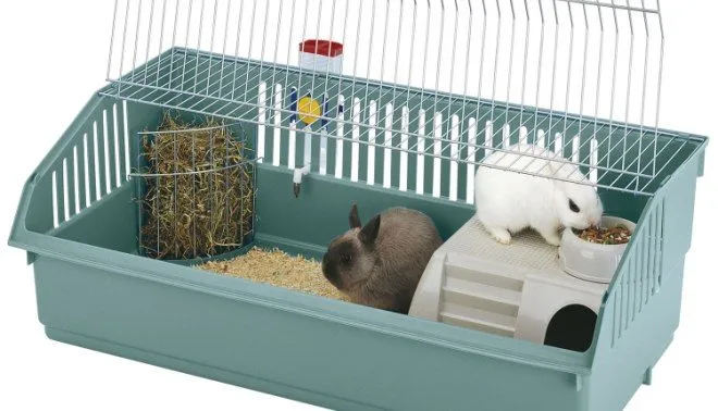 Elegir y preparar la jaula para el conejo