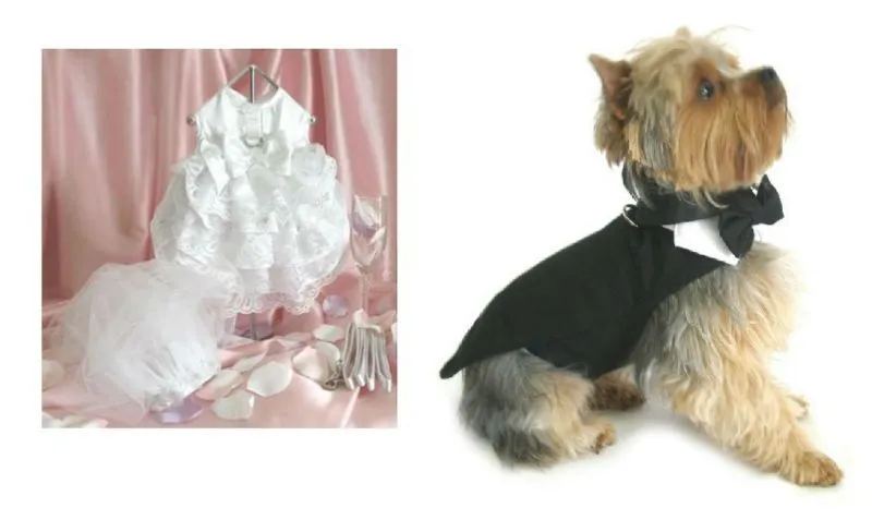 Elite de la boda vestido y esmoquin para perros--Identificación ...