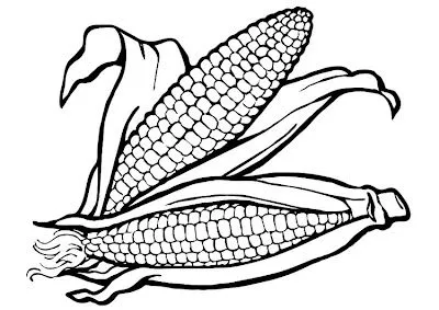 Imagenes para colorear: Elotes en imagen para iluminar Imagenes para colorear: Elotes en imagen para iluminar