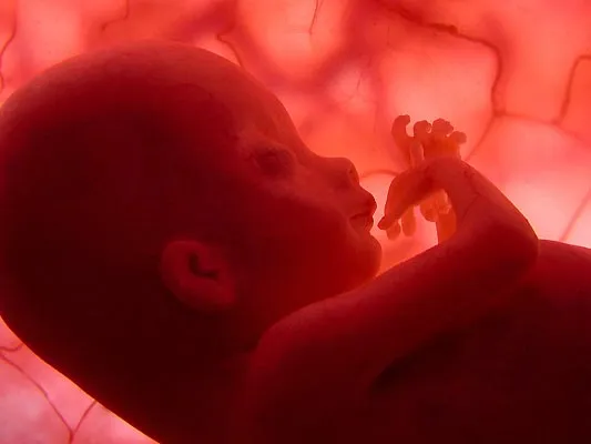Embarazo y bebé: Las imágenes más sorprendentes de la gestación...