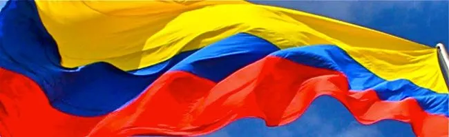 Emblemas y Simbolos de Colombia - Arbol Nacional Palma de Cera del ...