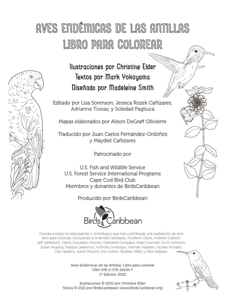 Endemic Bird Colouring Book Inner Pages Spanish | PDF | Aves | Especie en  peligro