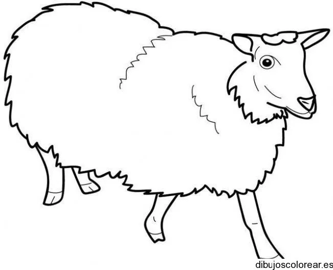 Dibujo de una oveja | Dibujos para Colorear