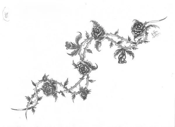 Dibujos de rosas con enredaderas - Imagui