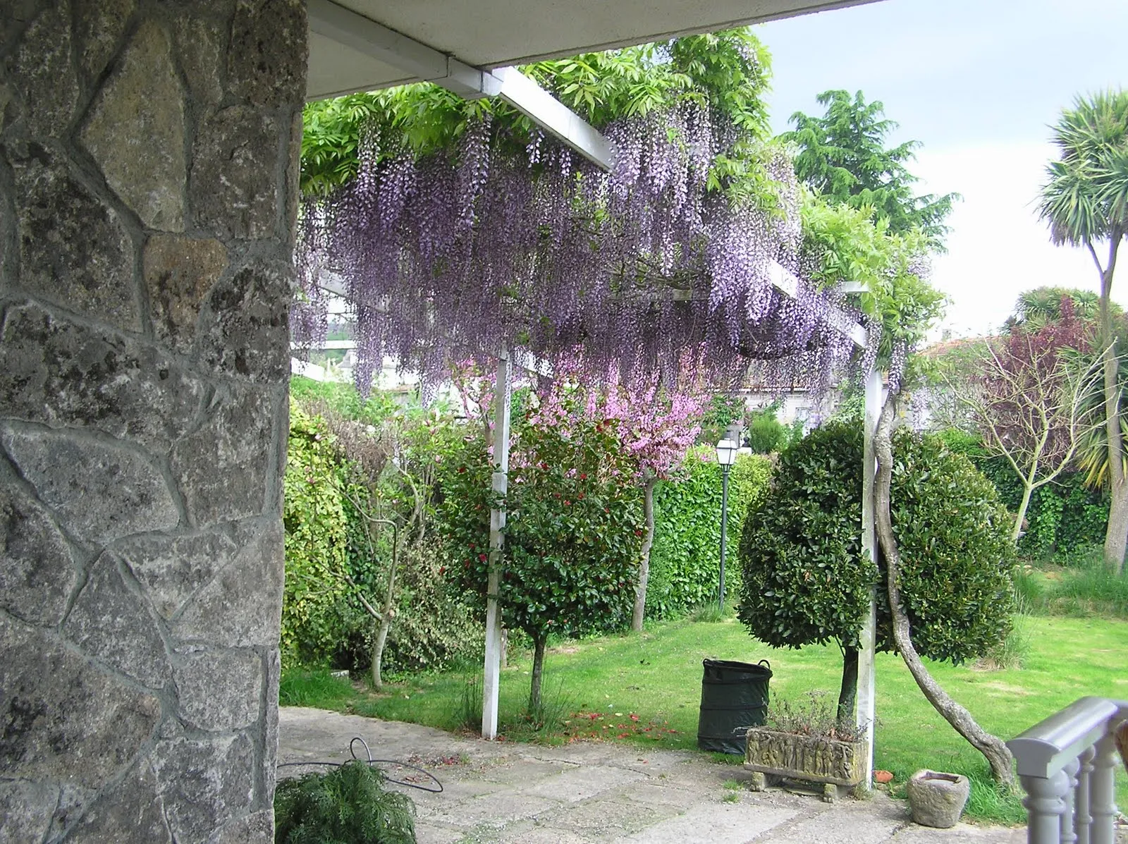 ENREDADERAS O TREPADORAS PARA CUBRIR PARED EN JARDIN : TERRAZAS Y ... ENREDADERAS O TREPADORAS PARA CUBRIR PARED EN JARDIN : TERRAZAS Y ...