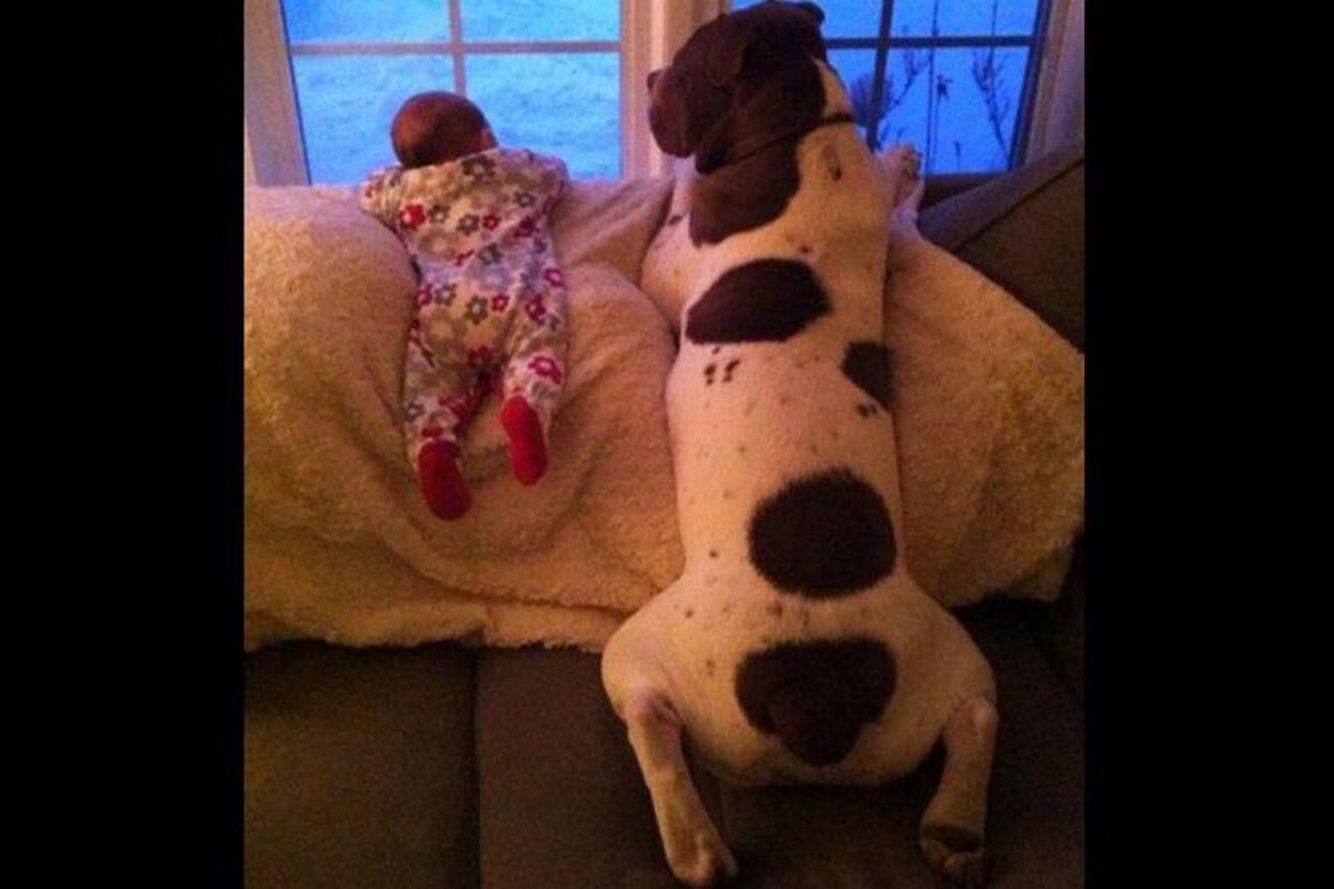 Enternecedoras imágenes de bebés junto a sus mascotas