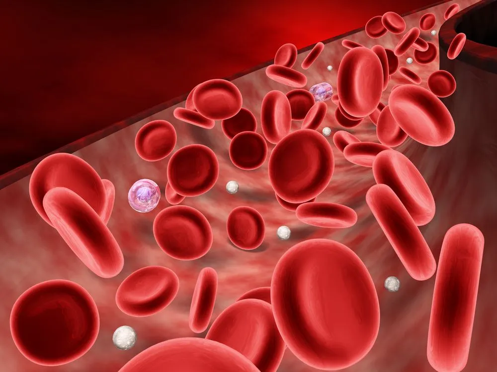 Unas enzimas convierten cualquier sangre en tipo O | biologia1univia Unas enzimas convierten cualquier sangre en tipo O | biologia1univia
