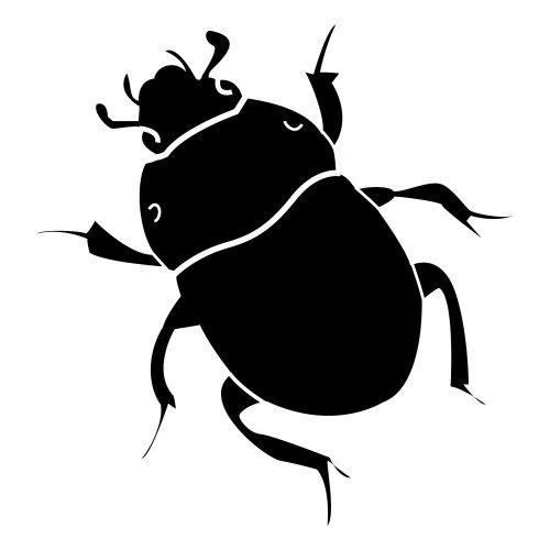 Escarabajos dibujos - Imagui