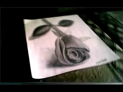 Como dibujar una rosa 3D - Imagui