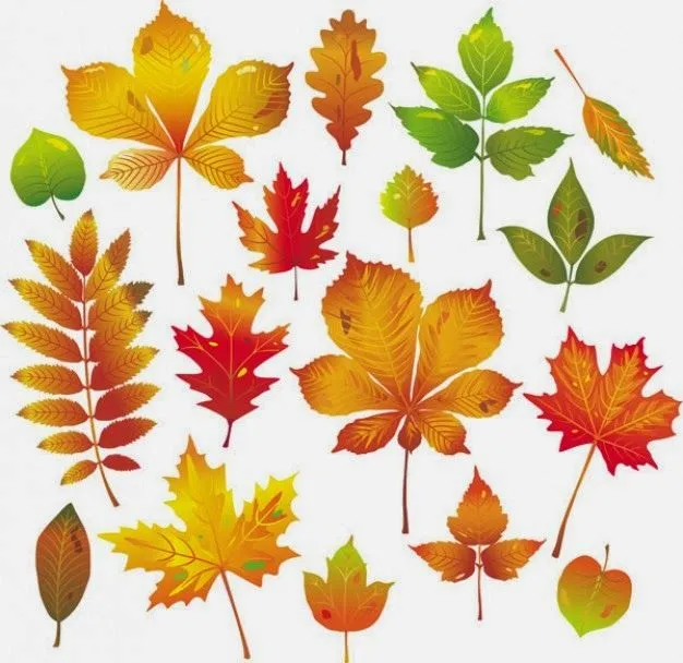 Escuela Infantil Municipal Marchamalo: Las hojitas de otoño Escuela Infantil Municipal Marchamalo: Las hojitas de otoño