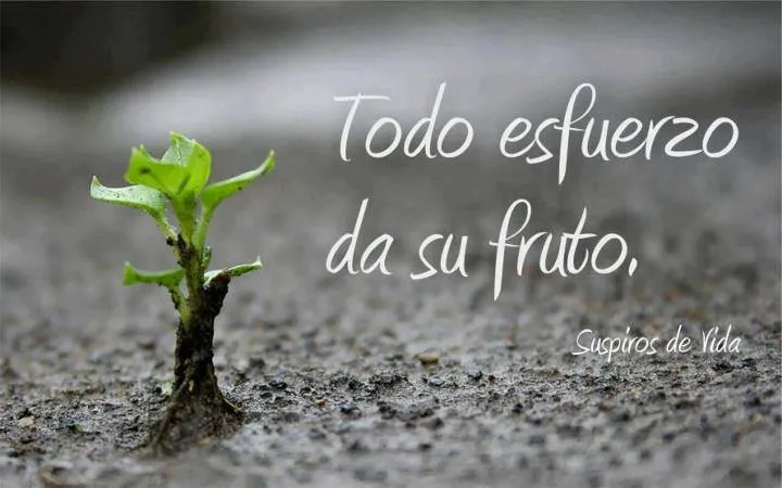 todo esfuerzo da su fruto yecla ofertas frases motivadoras | www. todo esfuerzo da su fruto yecla ofertas frases motivadoras | www.