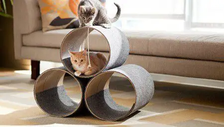 Como hacer un espacio de juego para tus gatos | Todo Manualidades