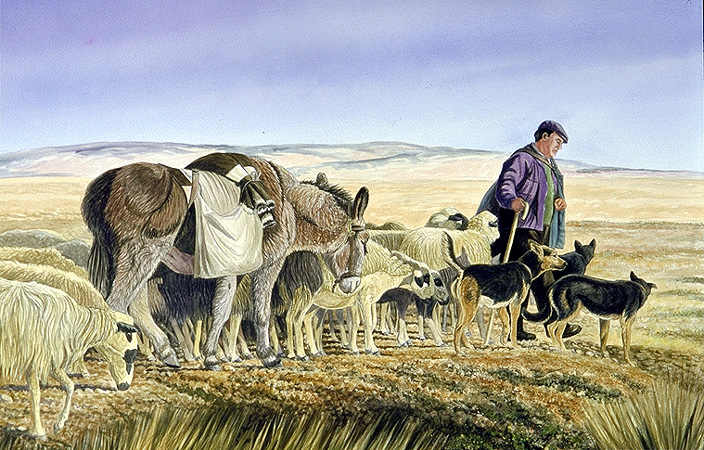 El espejo de la realidad: Ovejas y pastores