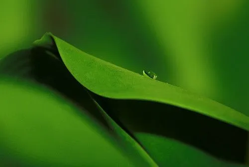 Esperanza . Si la vida fuera Color Verde ....... - a photo on ... Esperanza . Si la vida fuera Color Verde ....... - a photo on ...