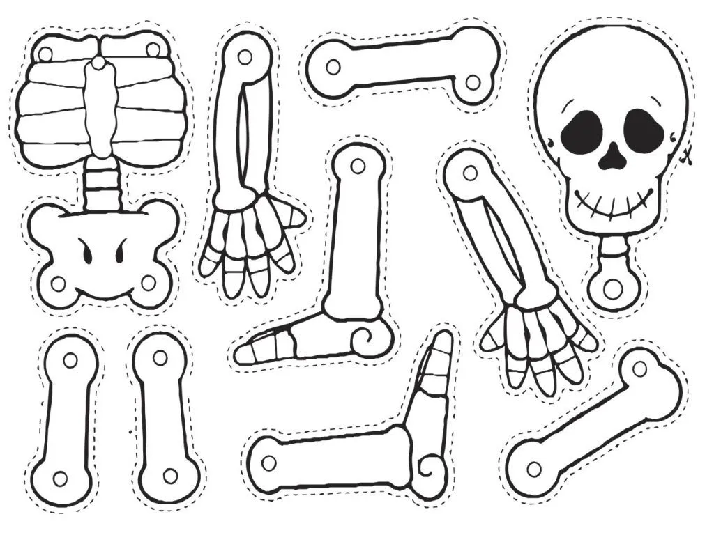 Esqueleto para armar especial halloween y dia de muertos