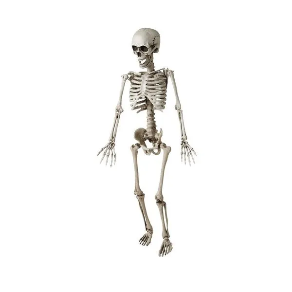 Esqueleto colgante fluorescente: comprar online en Funidelia.