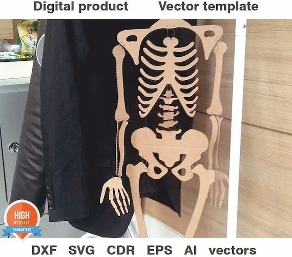 Esqueleto humano. Archivos cortados por láser SVG planos - Etsy México