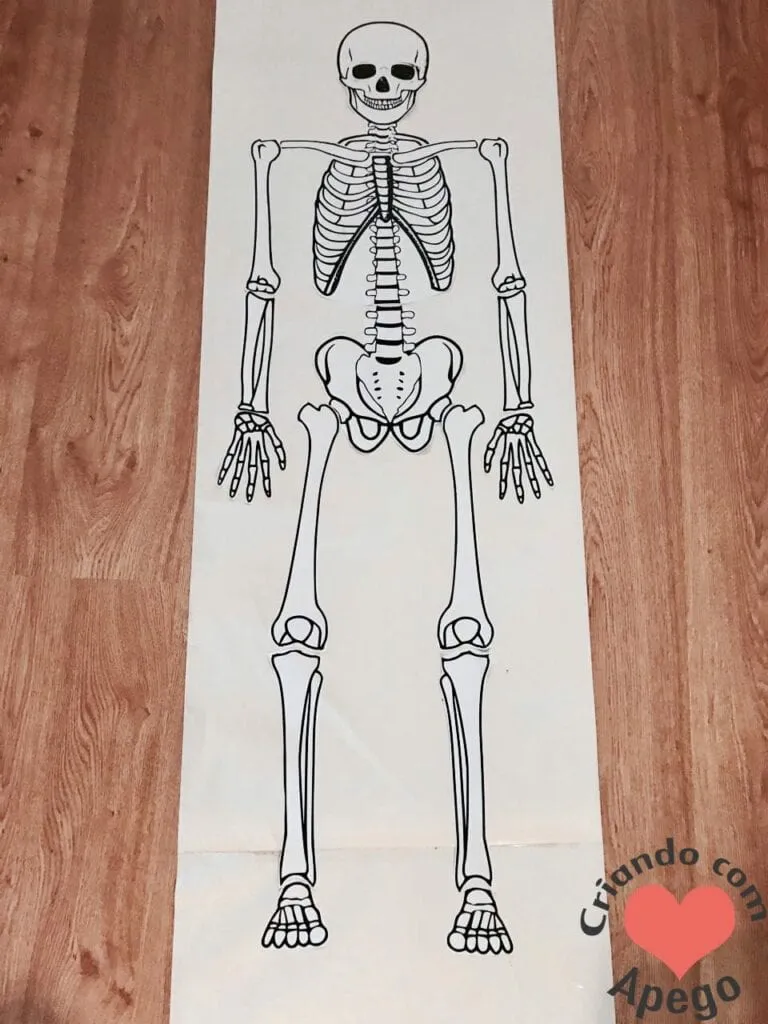 Esqueleto humano completo - atividades para imprimir