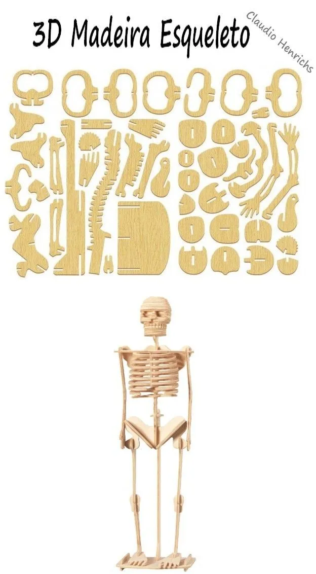 Esqueleto humano em MDF. #Perso | Wood laser ideas, Cardboard crafts, Paper  toys