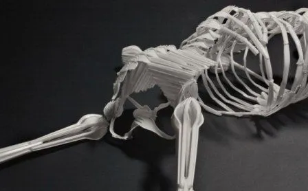 Arquetipos: Esqueleto hecho de plástico reciclado