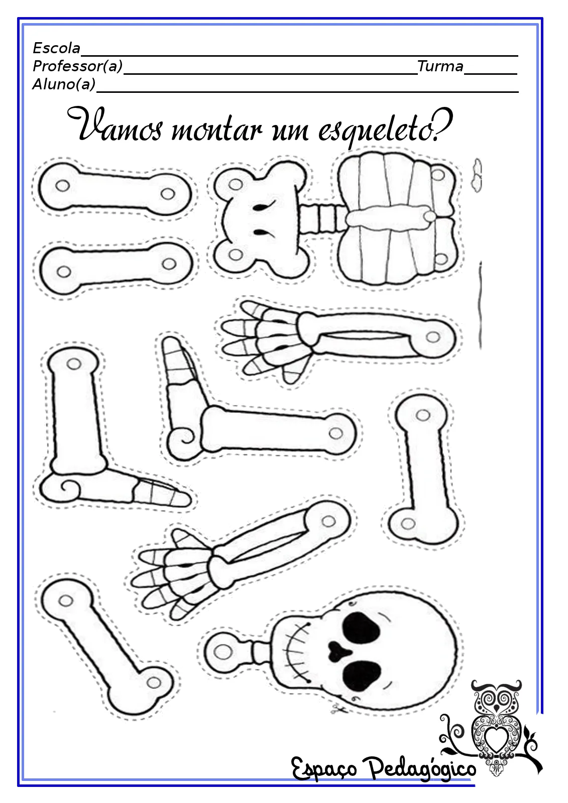 Esqueleto Humano Montar Pictures