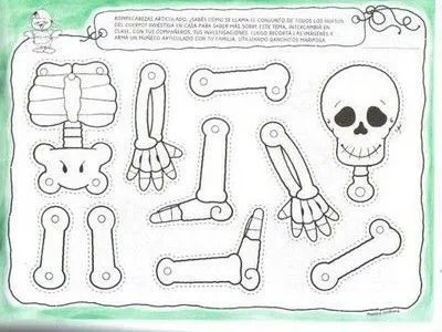 Esqueleto humano para recortar y armar - Imagui