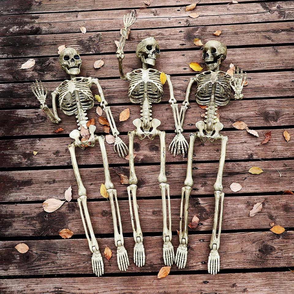 Esqueleto movible de calavera Vintage para Halloween, decoración de huesos  humanos falsos, terrorífico, adorno de jardín para el hogar, fiesta de  terror, fiesta malvada, Supp - AliExpress