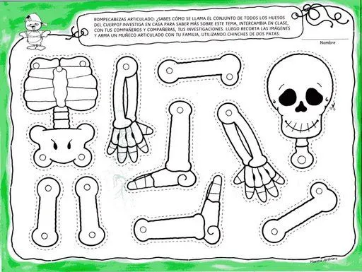 El esqueleto para niños de preescolar - Imagui