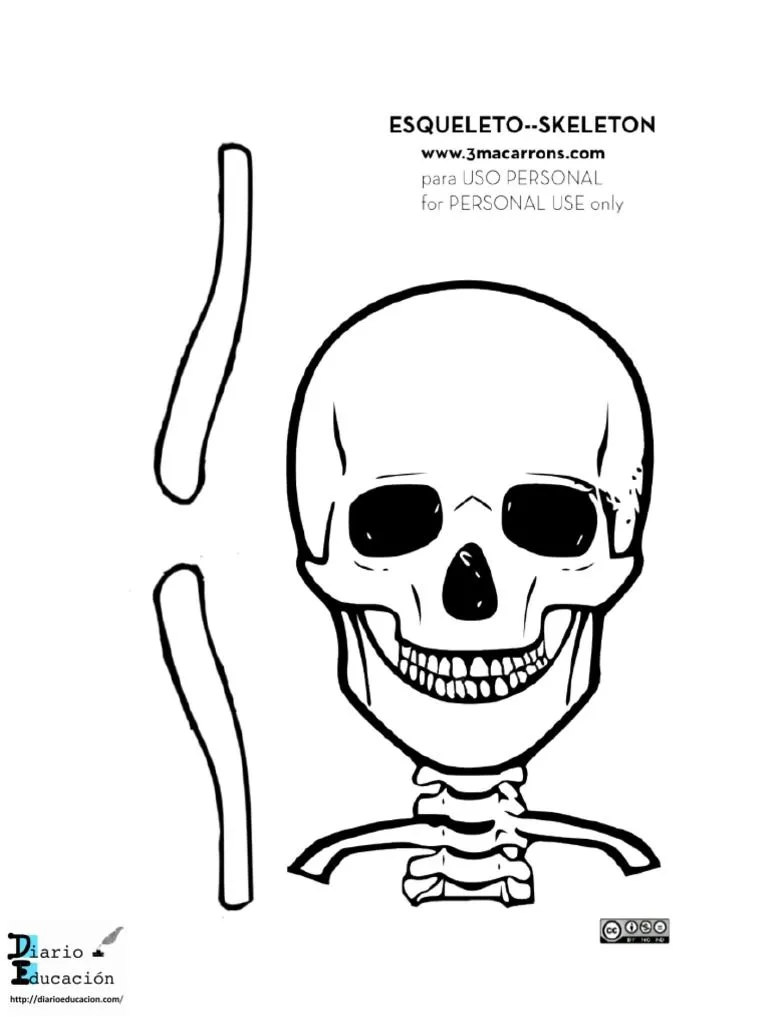 Esqueleto de Tamaño Real | PDF