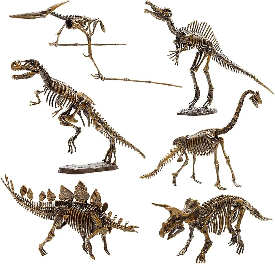 6 esqueletos de dinosaurio, juguetes de dinosaurio de montaje para niños y  niñas, modelo de dinosaurio de rompecabezas 3D para niños a partir de 6  años, regalo de dinosaurio, regalo de festival,