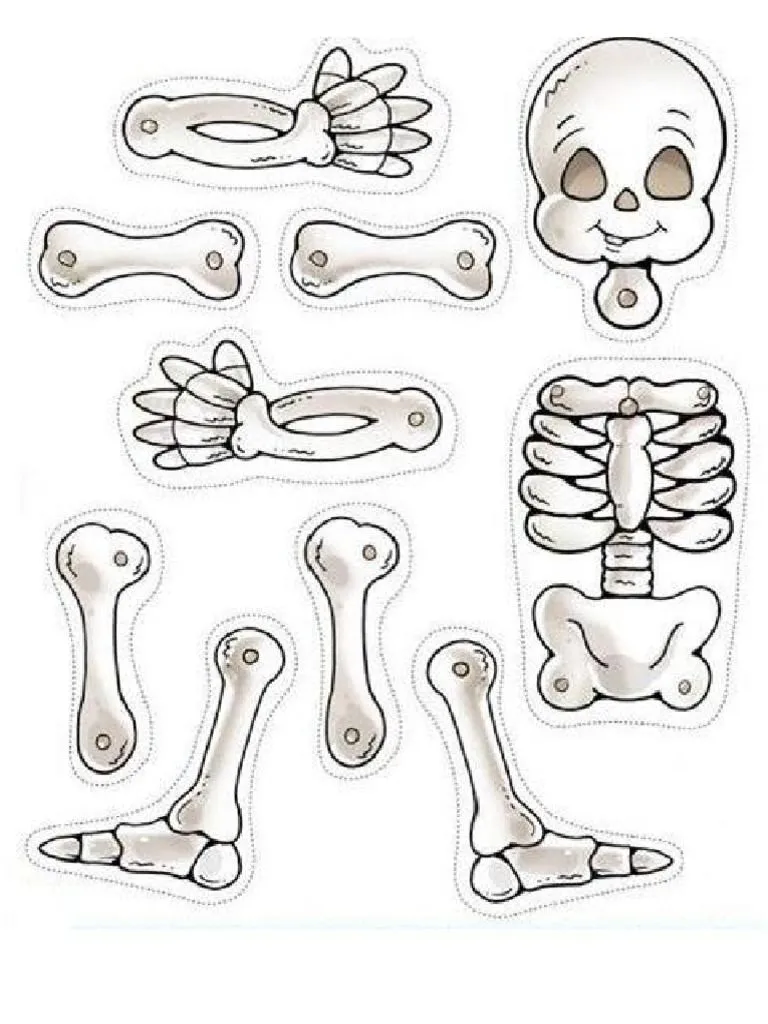 Esqueletos recortables | Esqueleto para armar, Marionetas de dedo,  Manualidades