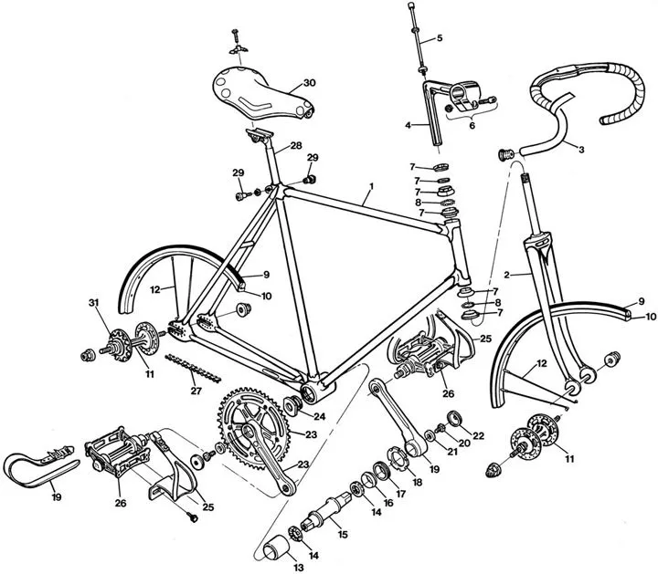 Esquema de una bicicleta de Piñón Fijo | Arte, Bicicleta ...