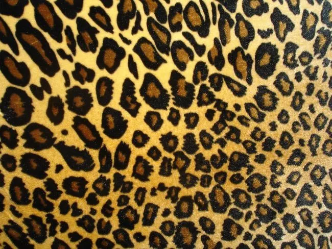 Dedos con Estilo: Estampado de leopardo (Nivel medio) / Leopard print ...
