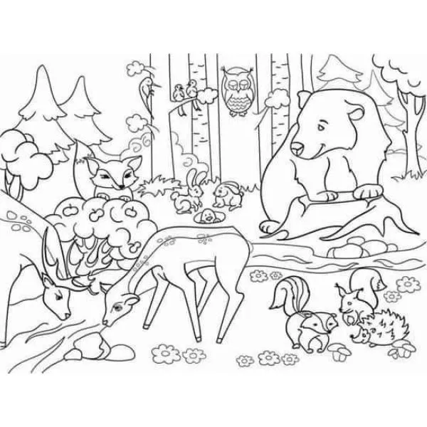2 estilos de un bosque para dibujar con animales y plantas
