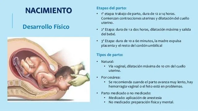 Etapa Prenatal y Nacimiento