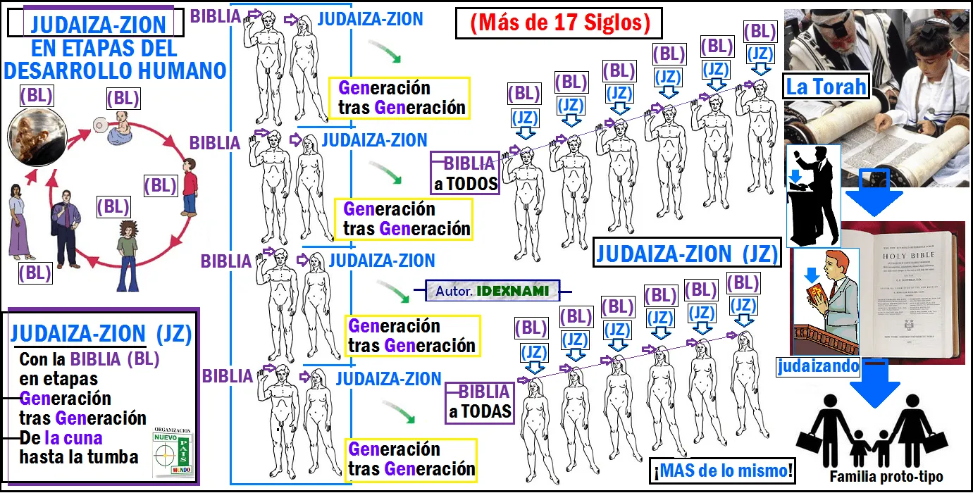 Las etapas del desarrollo humano y sus dibujos - Imagui