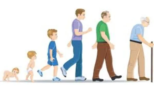 ETAPAS DEL DESARROLLO HUMANO (NIÑEZ, ADOLESCENCIA, ADULTEZ Y VEJEZ ... ETAPAS DEL DESARROLLO HUMANO (NIÑEZ, ADOLESCENCIA, ADULTEZ Y VEJEZ ...