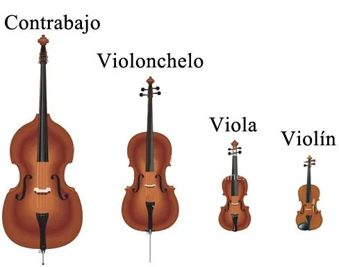 La Música y los Instrumentos: INSTRUMENTOS DE CUERDA.