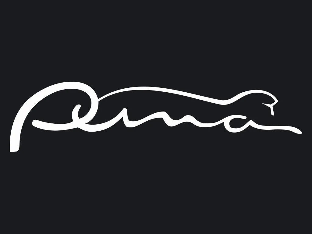 Everything About All Logos: Puma Logo Pictures Everything About All Logos: Puma Logo Pictures